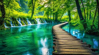 Download lagu Relaxing Music For Stress Relief Anxiety and Depre... mp3