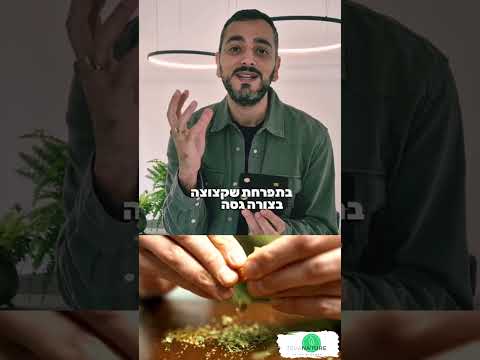 איך עובד מכשיר אידוי?