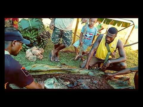 PORK in BARK: Papua New Guinea traditional style of cooking inside a tree bark!