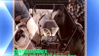 Ramon Ovalle Los Viejones de Linares