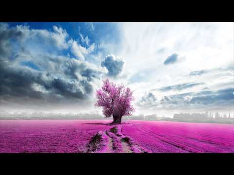 2Beards - I Need A Miracle