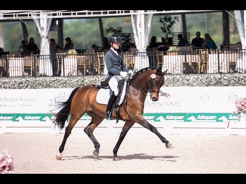 Leif Aho & Classy Sinclair in the CDI3* Prix St. Georges 70.882% 2nd place