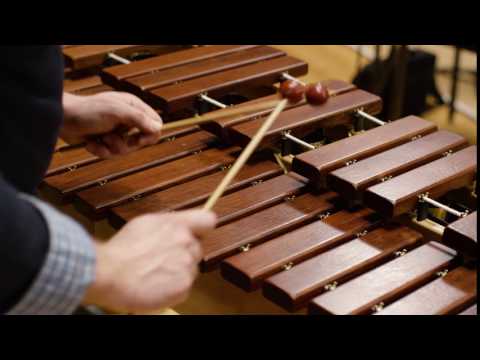 What does a xylophone sound like? (Scale)