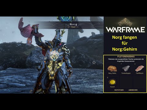 Warframe Norg fangen für Norg Gehirn (2024/Deutsch)