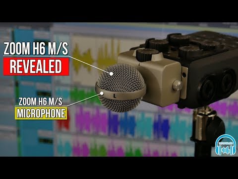 Zoom H6 M/S Microphone | REVEALED 🎙️