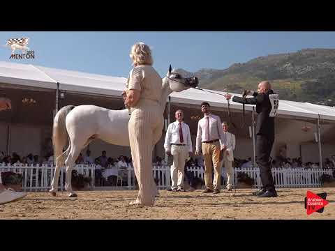 N.53 LR ERA DE EXCALIBUR - Menton 2019