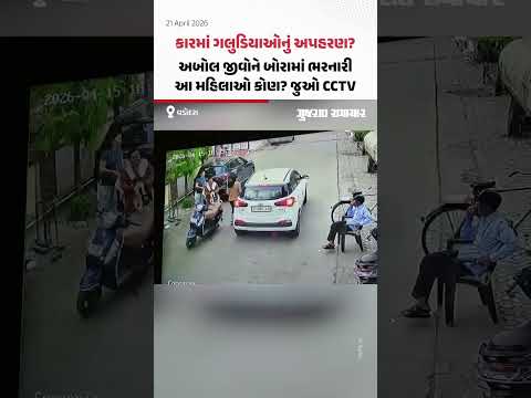 કારમાં ગલુડિયાઓનું અપહરણ? અબોલ જીવોને બોરામાં ભરનારી આ મહિલાઓ કોણ? જુઓ Vadodaraના CCTV