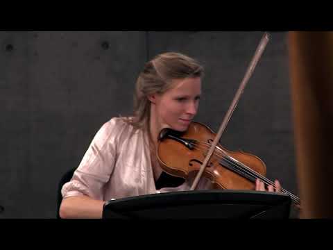 George Onslow - String Quintet in C minor op. 38 "The Bullet" - II.Minuetto non tanto presto Dolore