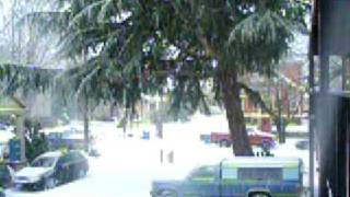 inner SE PDX - Sunday Dec 21st, 2008