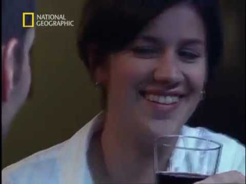 Interpol Akták - Veszélyes páros