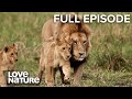 The First Five Years | Lion Brothers: Cubs to Kings
