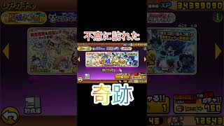 不意に訪れた奇跡　#にゃんこ大戦争　#ガチャ　#超極ネコ祭