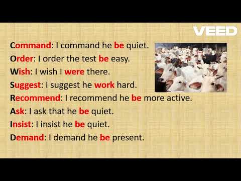 What is Subjunctive Mood and how to use it in English?