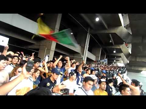 "la rebel saliendo del gallinero 11 de mayo 2013" Barra: La Rebel &bull; Club: Pumas