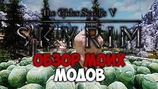 TES V: SKYRIM - Обзор Моих Модов