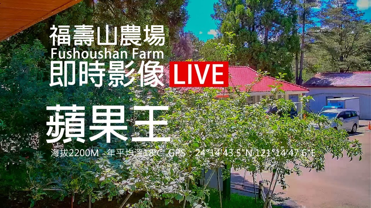 Fushoushan Farm Apple King