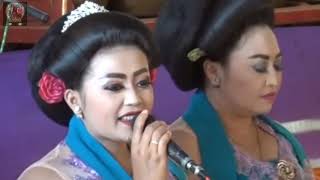 Download lagu TAYUB TERBARU - WILIS - SESINGITAN - ENGGAL LARAS_TRENGGALEK mp3 Download lagu TAYUB TERBARU - WILIS - SESINGITAN - ENGGAL LARAS_TRENGGALEK mp3