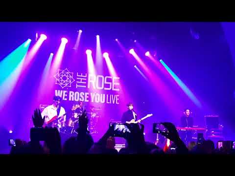 The Rose In Brussels - Beautiful Girl (17112019)