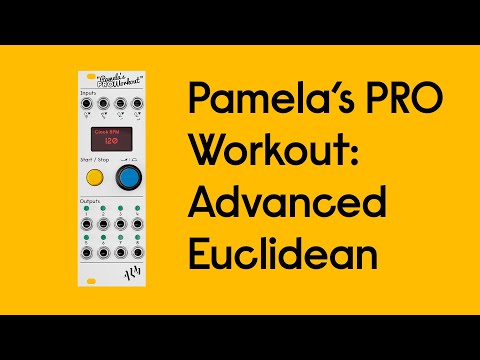 Pamela's PRO Workout: Advanced Euclidean - Reset, Placing Patterns & Irregular LFOs
