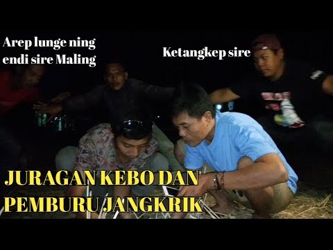 film-komedi-lucu-jawa-serang-jaseng-juragan-kebo-dan-pemburu-jangkrik-part-14