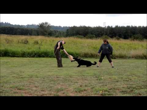 Eyko vom Haus Pixner