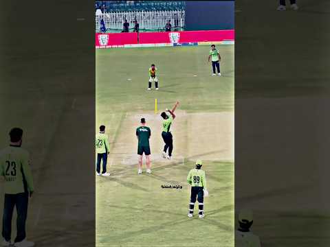 Pakistan’s Fast Bowlers Warming Up #shorts #cricket #harisrauf #shaheenafridi