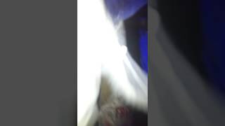 Pasaje del terror