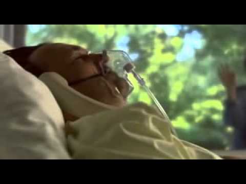 Das Imperium der Viren Part 5 von 5