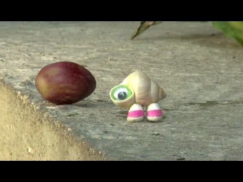 MARCEL THE SHELL Is Back! | What's Trending Now