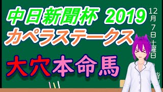 【競馬】中日新聞杯,カペラステークス2019 大穴本命馬を紹介するよ！！