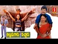 Alludu Garu Vacharu Full  Telugu Movie | Jagapathi Babu | Abbas | Heera | Kousalya