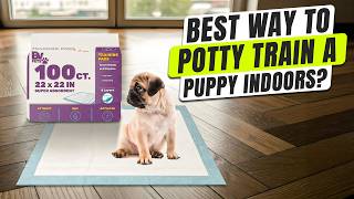 What’s the Best Way to Potty Train a Puppy Indoors