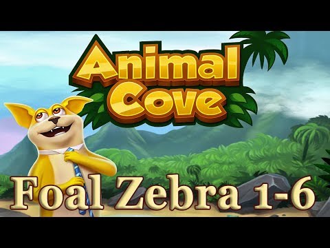 Animal Cove Foal Zebra level 1 - 6