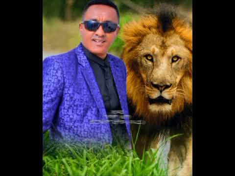 ዝያዳይ ይርጋኣለም ጌታቸው ( ብሩረይ ) 2025 