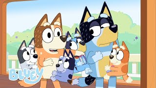 Download lagu Time for EVEN MORE Bluey Adventures! 😍 💙 | Bluey mp3