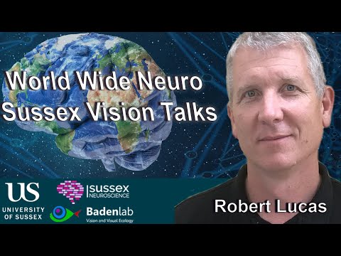World Wide Neuro | Sussex Vision Series - 21/11/2022 - Prof. Rob Lucas