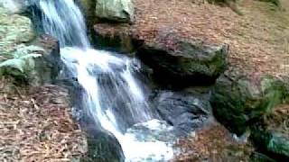 preview picture of video 'Center Parcs - Waterfalls at Longleat'
