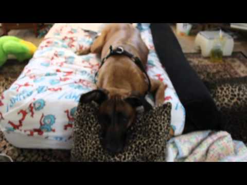 Nazeer working on his physical therapy at home 3-27-16