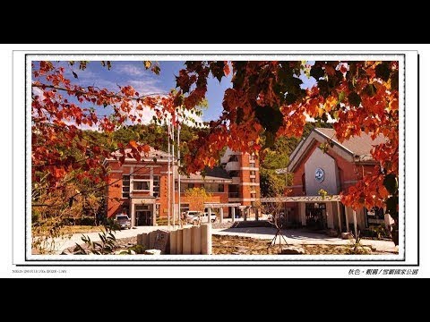 觀霧遊憩區 -雪霸國家公園