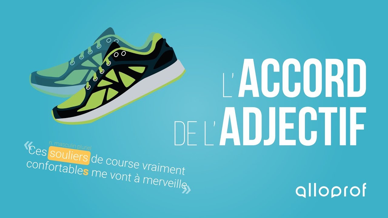 L'accord de l'adjectif