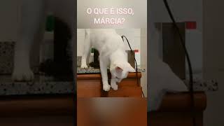 O que  isso Mrcia?  #shorts