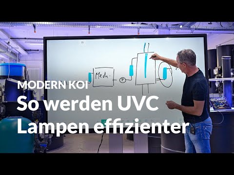 Where should the UVC lamp be placed? | Modern Koi Blog #6532