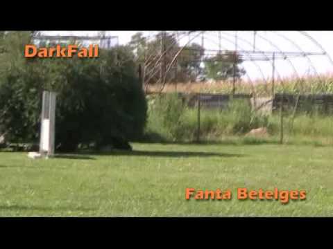 Fanta Betelges show training