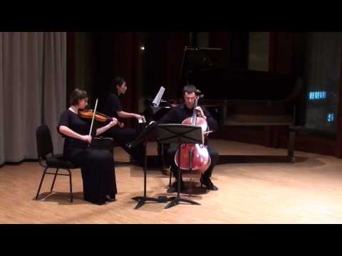 Schumann: Piano Trio No.2 in F Major (1st movement)