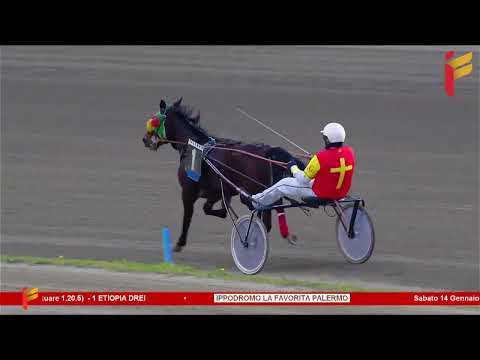 Prova di qualifica del 14 gennaio 2023 - 3 Anni - Metri 1600