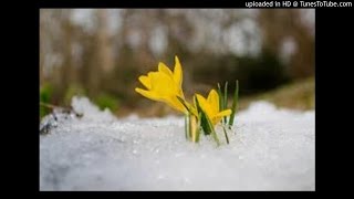 Glow In The Dark Plastic Angel