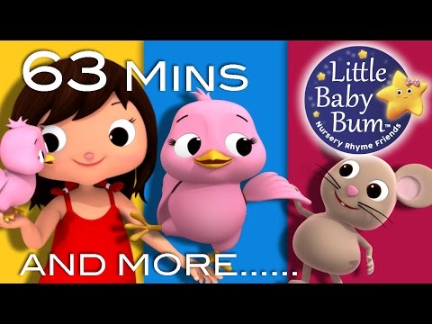 Five Little Birds | Plus Lots More Nursery Rhymes | 63 Minutes Compilation from LittleBabyBum!