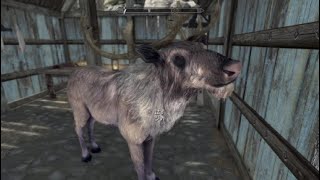 世界なんか救わないスカイリム旅情【第2期】　～　まったり狩猟生活2話目