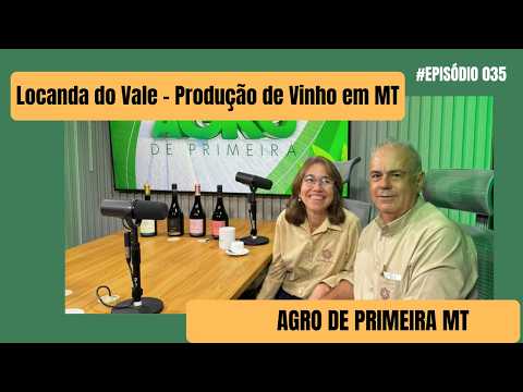 Do campo à taça: os bastidores da produção de vinho em MT