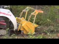 Click to View : MINIFORST cl – mulching brush and trees